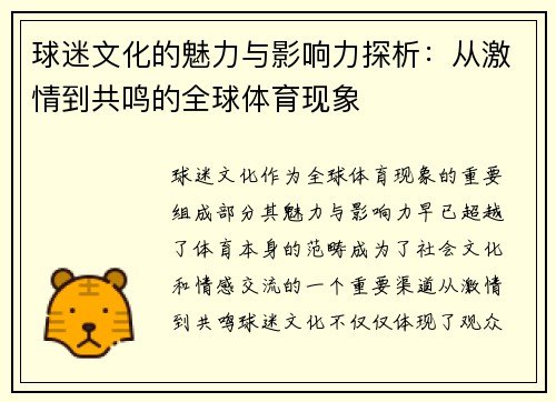 球迷文化的魅力与影响力探析：从激情到共鸣的全球体育现象